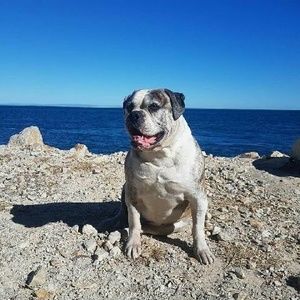 Meet your Posher, Marina